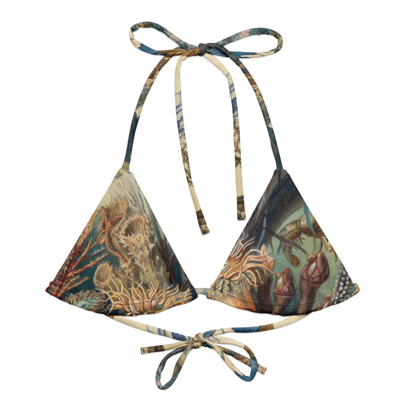 A Cry for Kelp String Bikini Top featuring Rich, colourful underwater scene featuring seahorses, molluscs, crustaceans, kelp and coral in a dense, teeming Victorian scientific illustration style, women’s string bikini top in vintage print