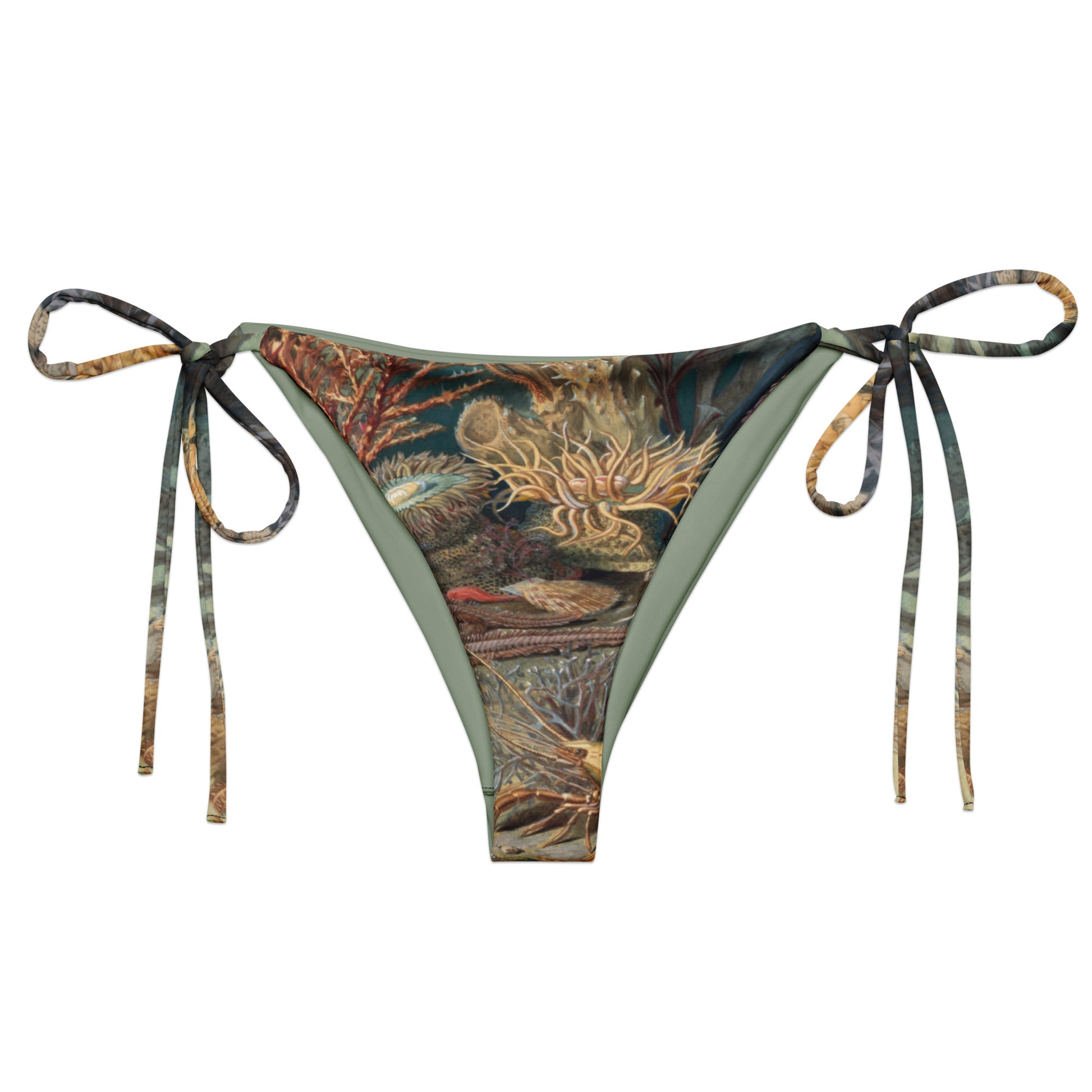 A Cry for Kelp String Bikini Bottom featuring Rich, colourful underwater scene featuring seahorses, molluscs, crustaceans, kelp and coral in a dense, teeming Victorian scientific illustration style, women’s string bikini bottom in vintage print