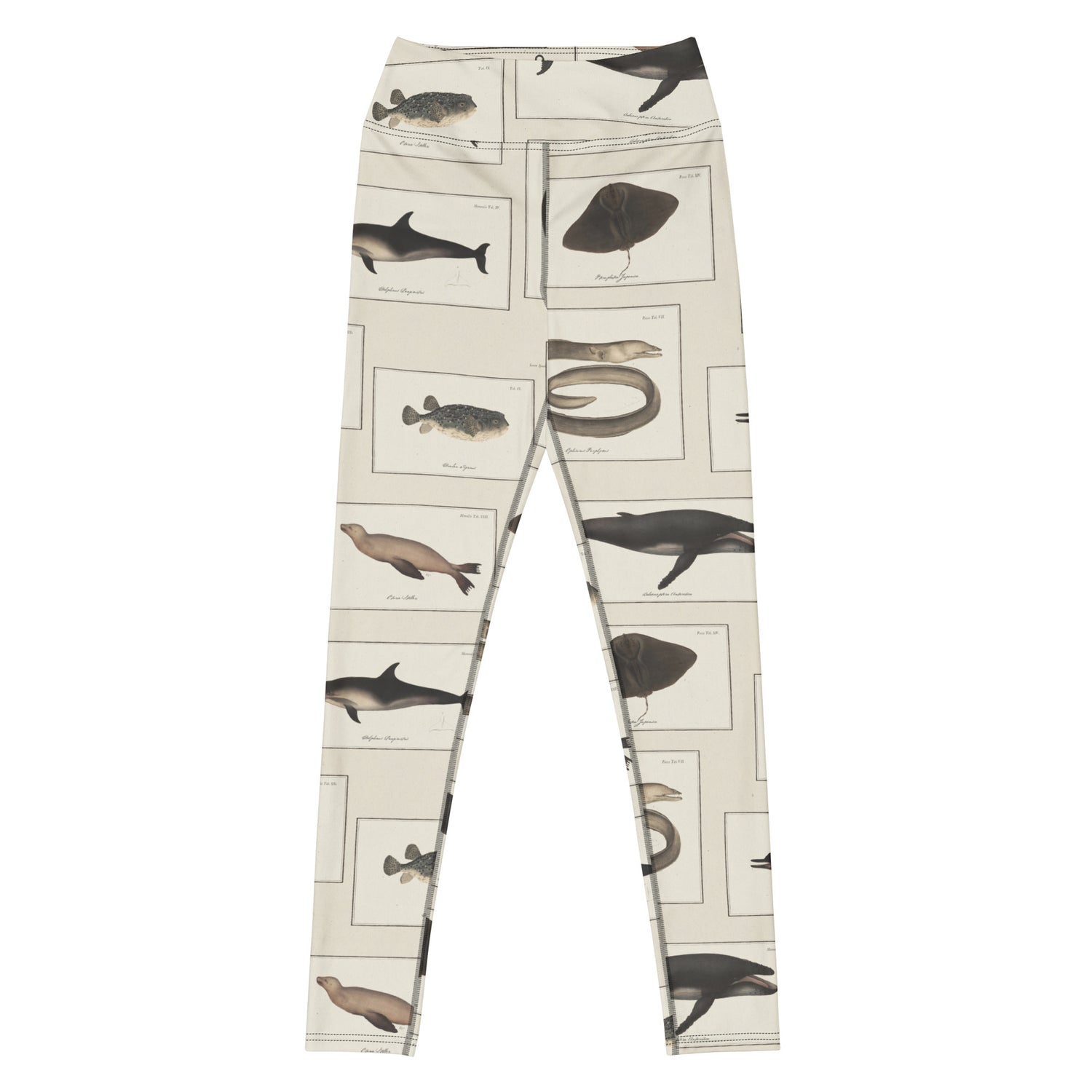 Shoal Mates Swim Leggings featuring Aged watercolour paper background featuring Victorian scientific book plate illustrations of dolphins, seals, whales, eels and rays in warm browns and blacks, women’s swim leggings in vintage print
