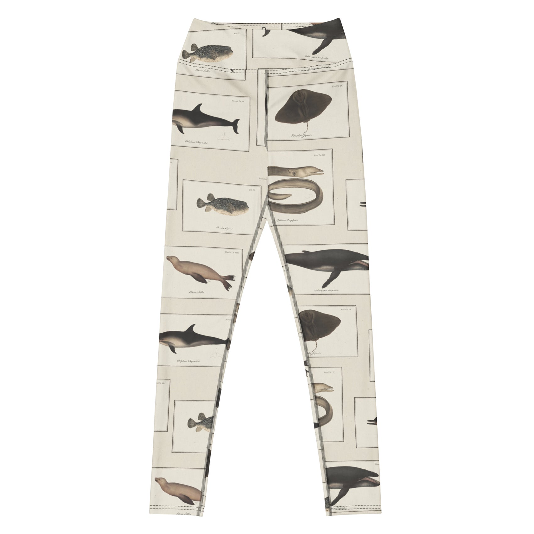 Shoal Mates Swim Leggings featuring Aged watercolour paper background featuring Victorian scientific book plate illustrations of dolphins, seals, whales, eels and rays in warm browns and blacks, women’s swim leggings in vintage print