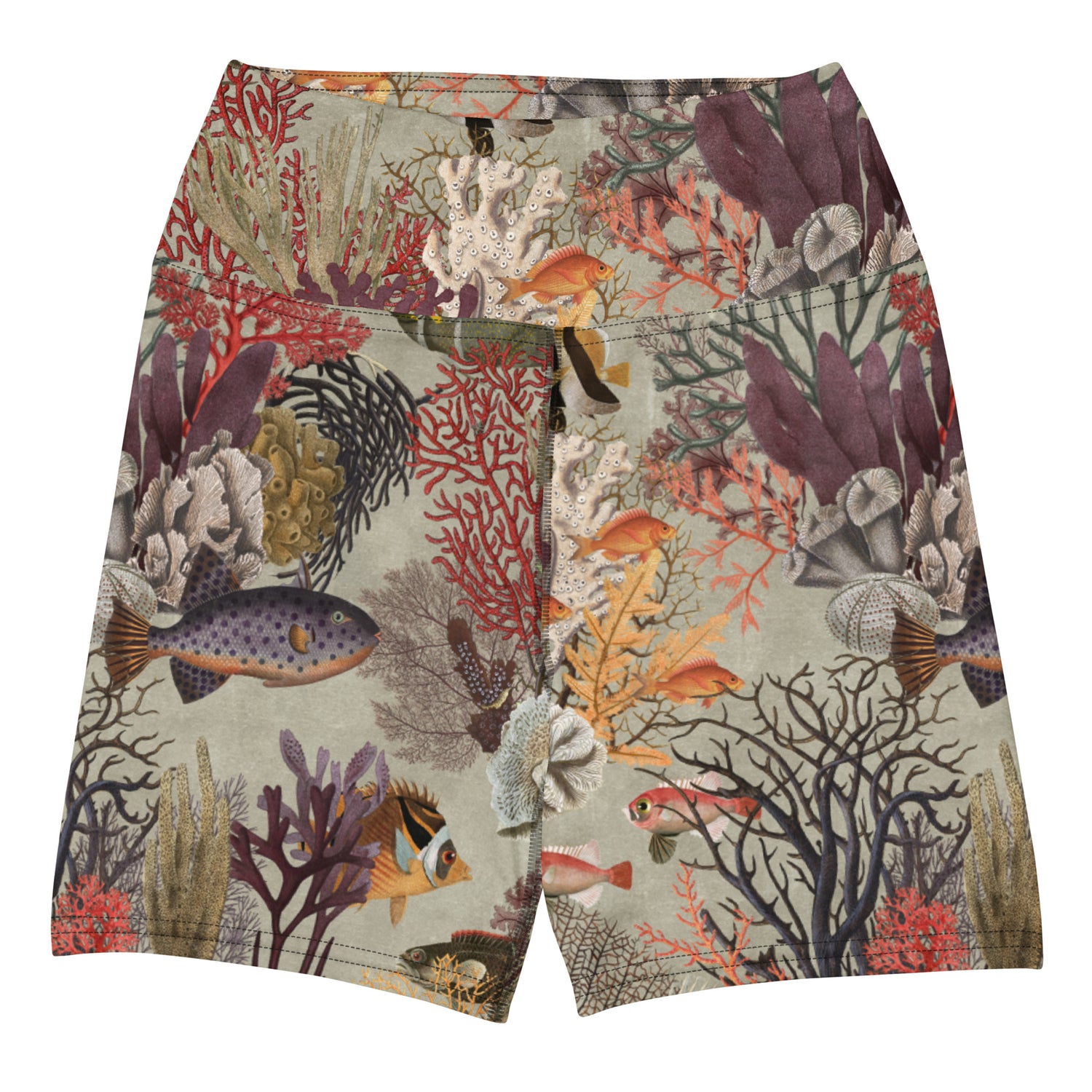 Kelp Calm And Coral On Swim Shorts featuring Moody brown background with layered Victorian marine engravings of coral, kelp and fish in deep purples, reds and burnt oranges, women’s swim shorts in vintage print