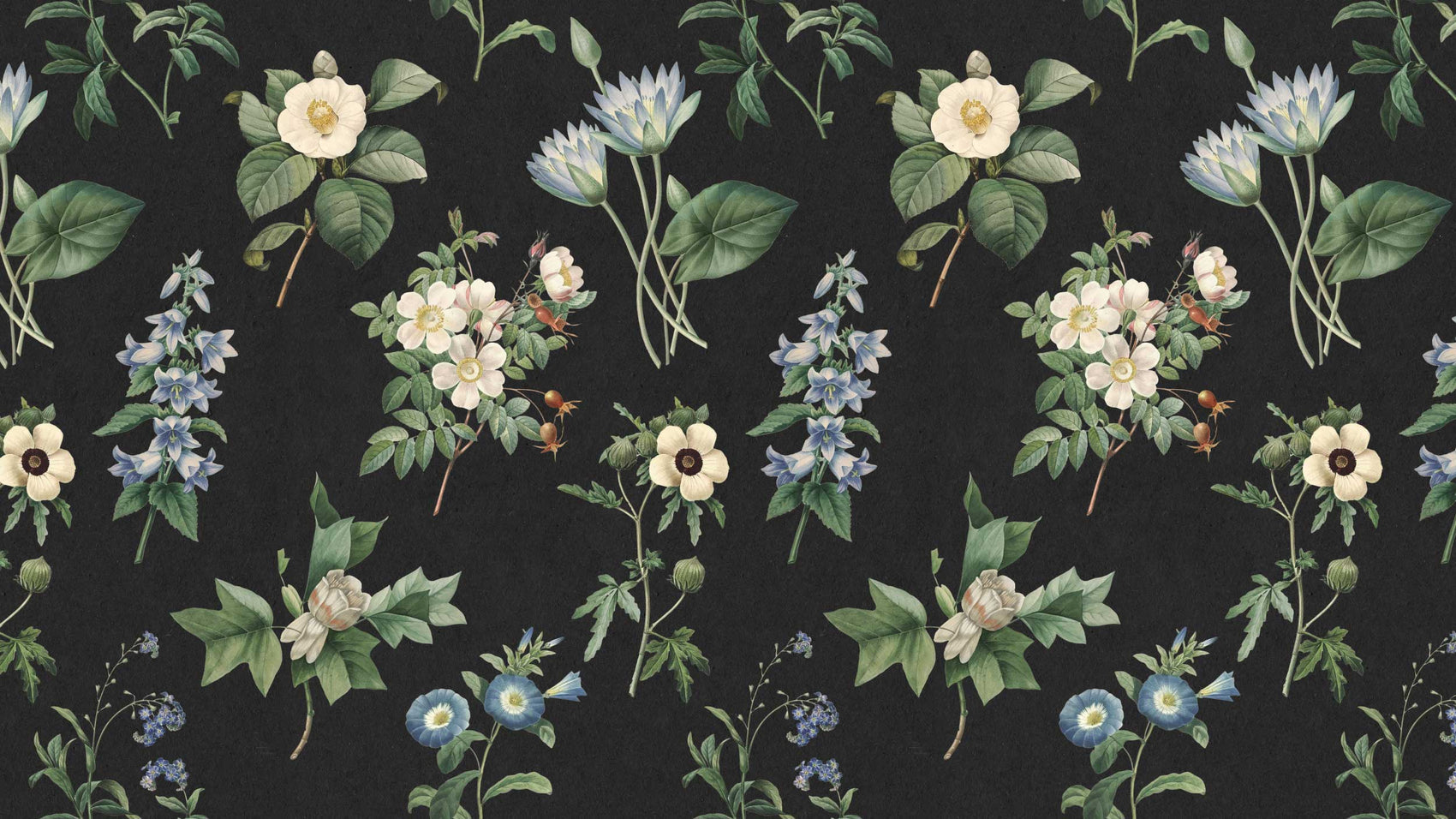 Botanical pattern with flowers and leaves on a black background